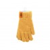 Guante Trendy