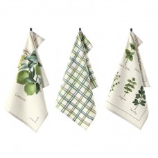 Set X3 Repasadores Botanico