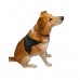 Arnes Pretal Para Perros Mascota Ajustable