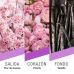Pret A Porter Cities - Tokyo Edp 100ml