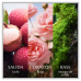 Chanson D Eau - Rose Edt 100ml