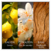 Chanson D Eau - Lemon Edt 100ml
