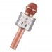 Microfono Infantil Karaoke