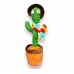Cactus Bailarin Con Accesorios Cactus Bailarin Con Accesorios
