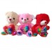 Oso De Peluche Amor Multicolor