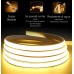 KIT MANGUERA LED NEON + FUENTE