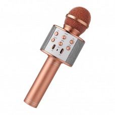 Microfono Infantil Karaoke