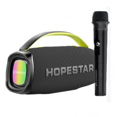 Parlante Hopestar A40 Con Microfono