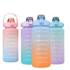 BOTELLA DE 2 LTS