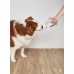 MAYOR DISPENSER DE AGUA Y COMIDA PARA MASCOTAS 550ML
