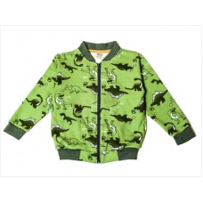 CAMPERA DINOSAURIOS
